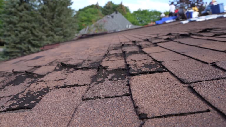 Best Gutter Installation and Repair  in Oak Brook, IL