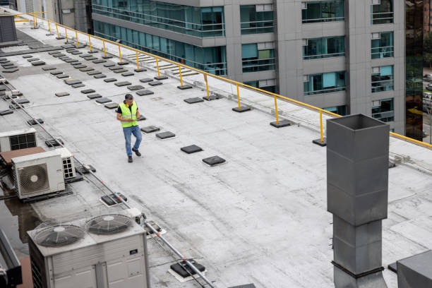 Best Roof Moss and Algae Removal  in Oak Brook, IL