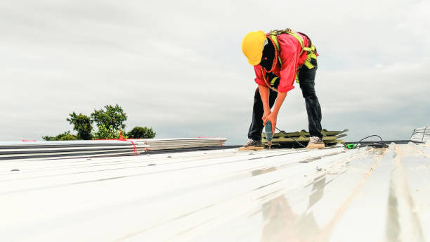 Best Metal Roofing Installation  in Oak Brook, IL