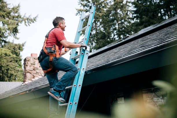 Best Chimney Flashing Repair  in Oak Brook, IL
